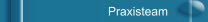 Praxisteam
